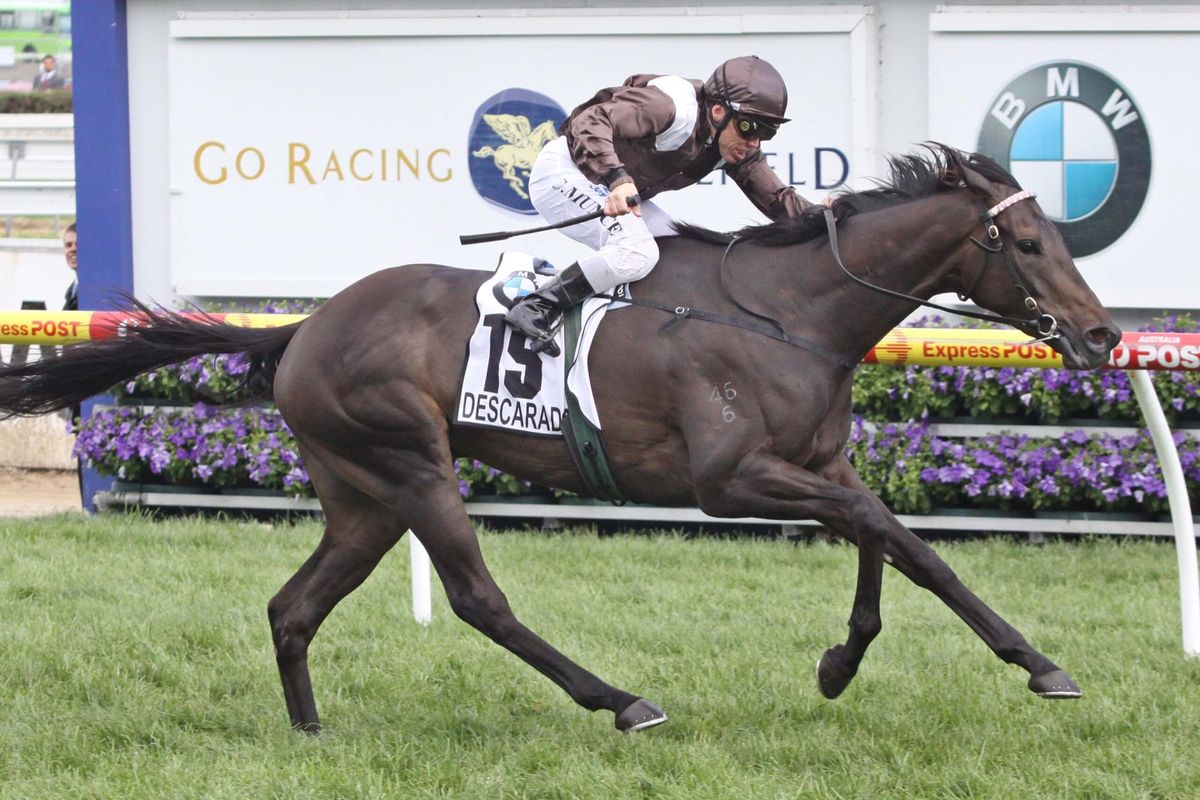 Waterhouse to reactivate interest in New Zealand tried horse market