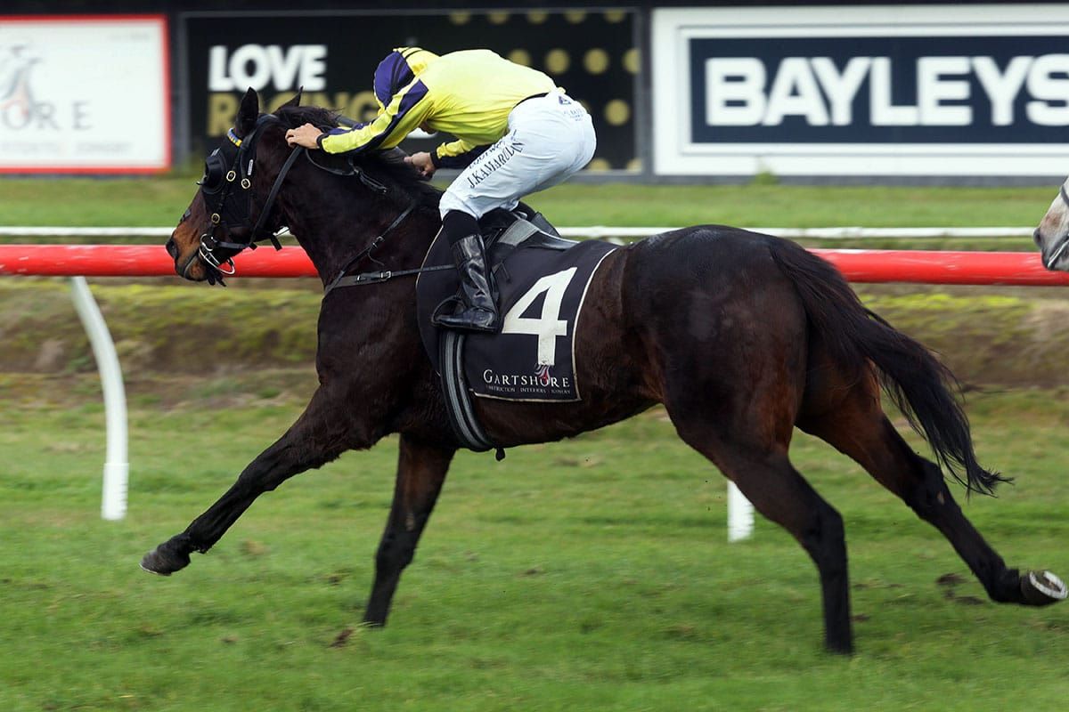 Divine Duke puts jumping career on hold again