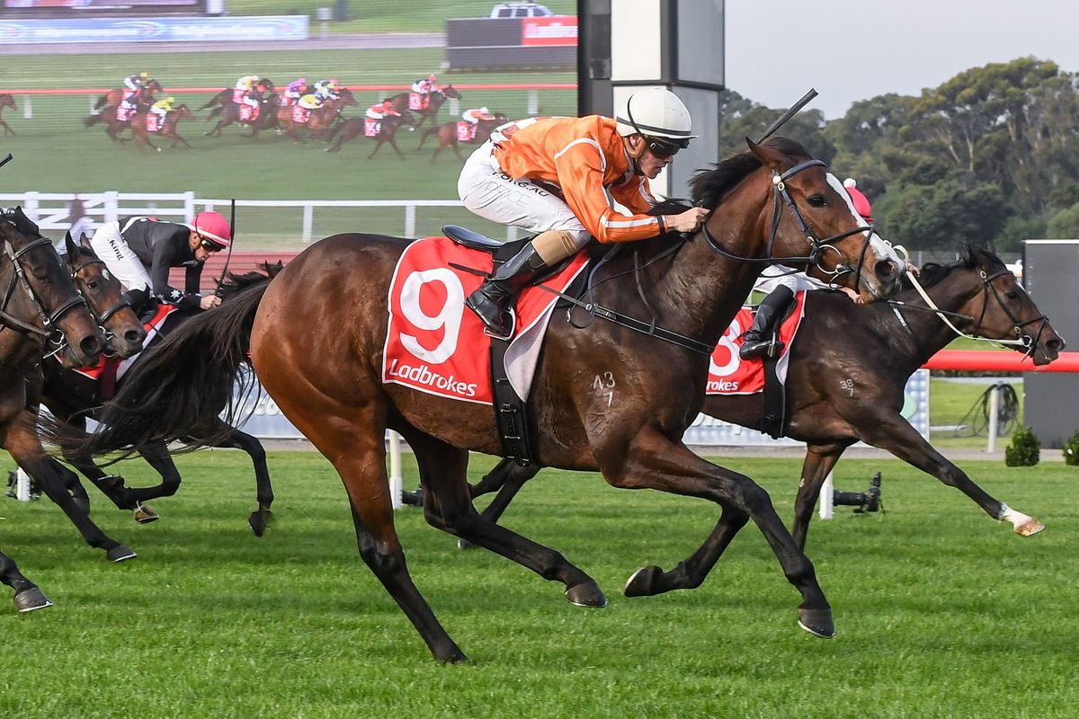 Electric Belle heading to Sandown