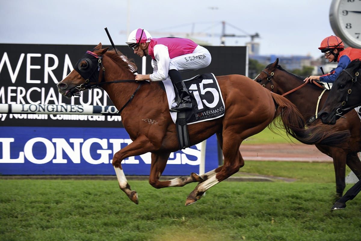 Expat digs deep at Rosehill