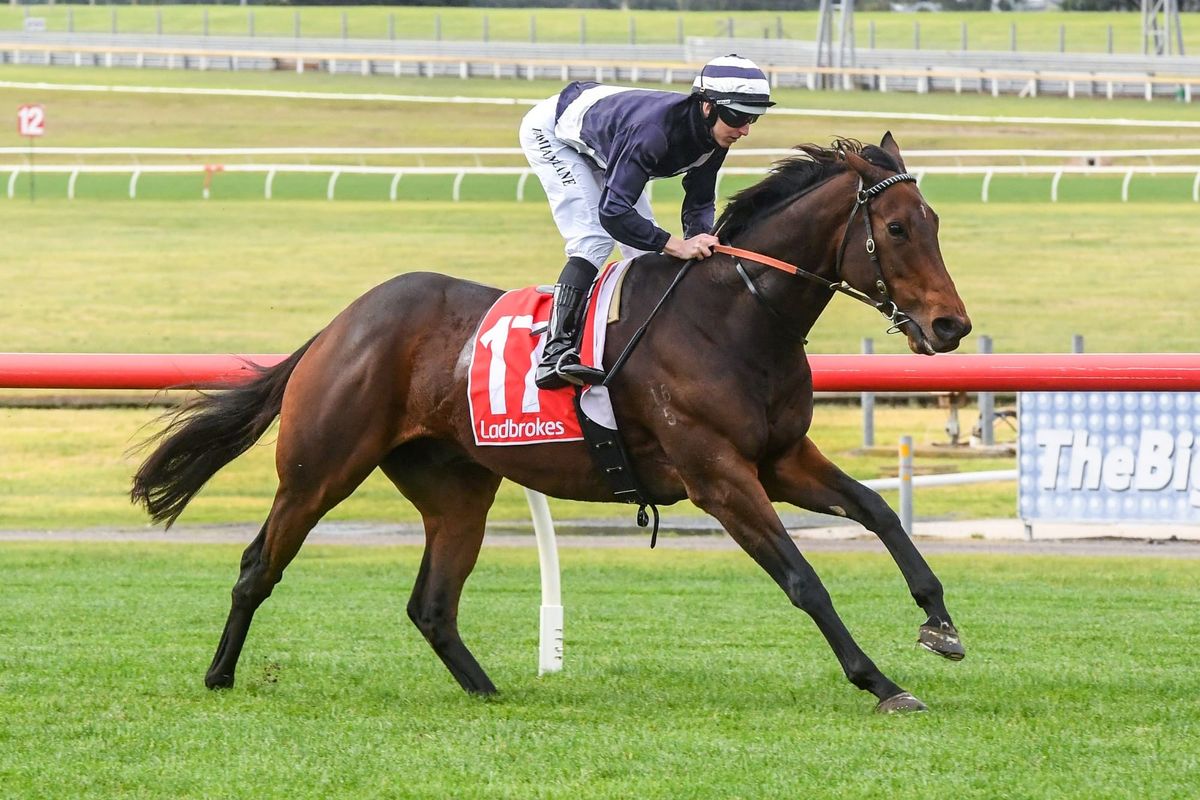 Falls produces front-running win