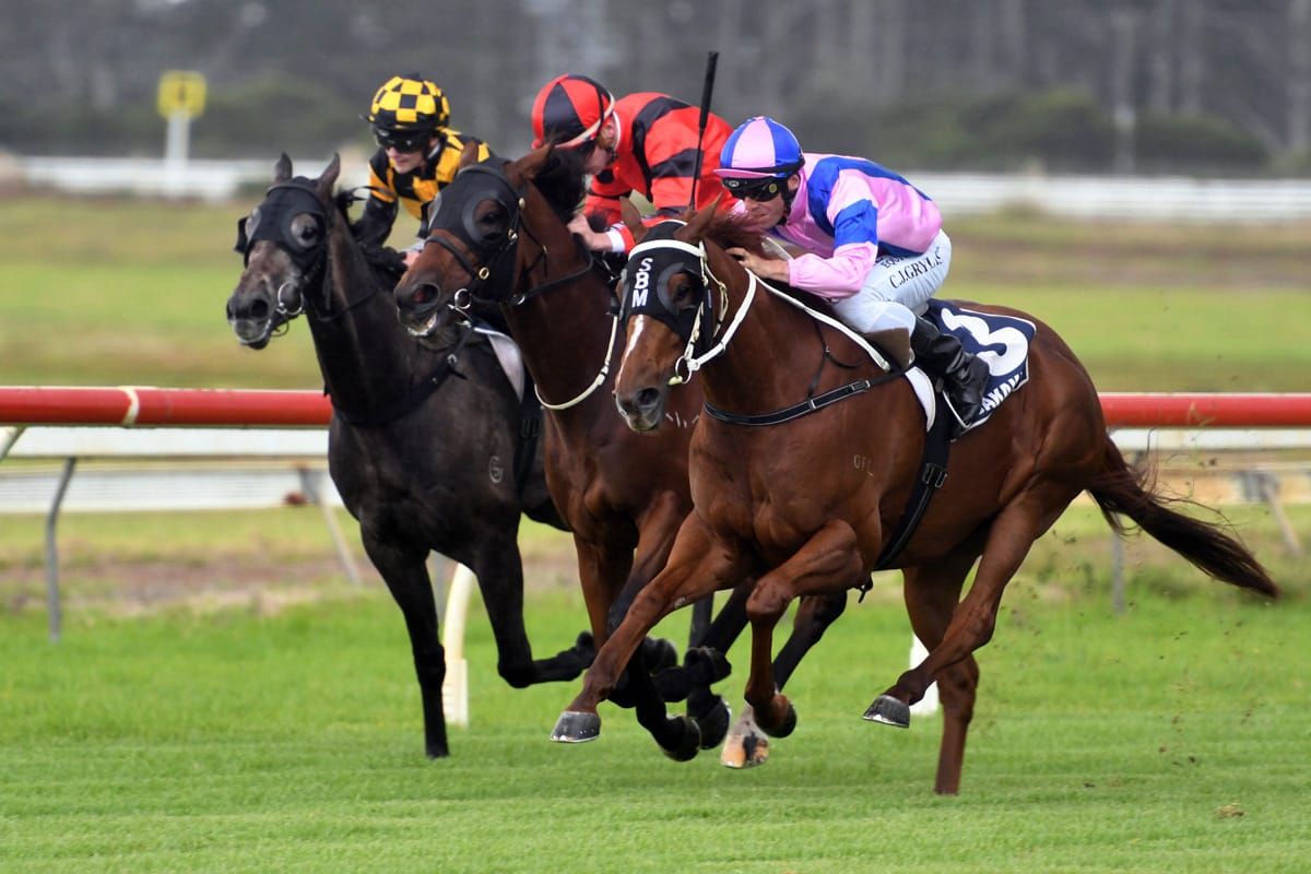 Te Rapa focus for in-form Marsh stable