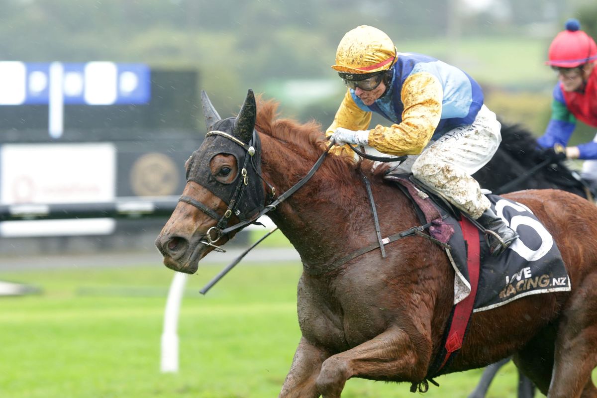 Flash filly makes winning debut at Ellerslie