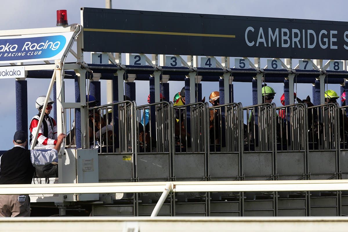 Starting Gate mishap nearly derails Ruakaka meeting.