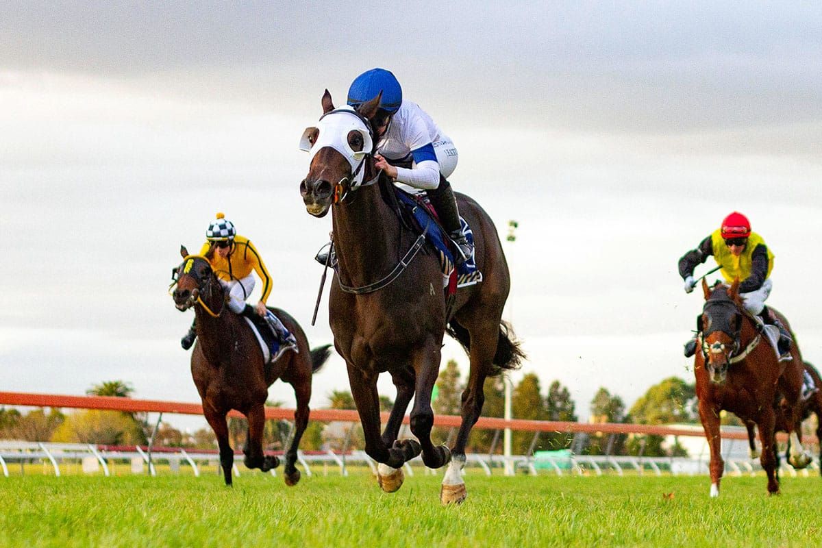 Lord Bouzeron back in form for Hickmott