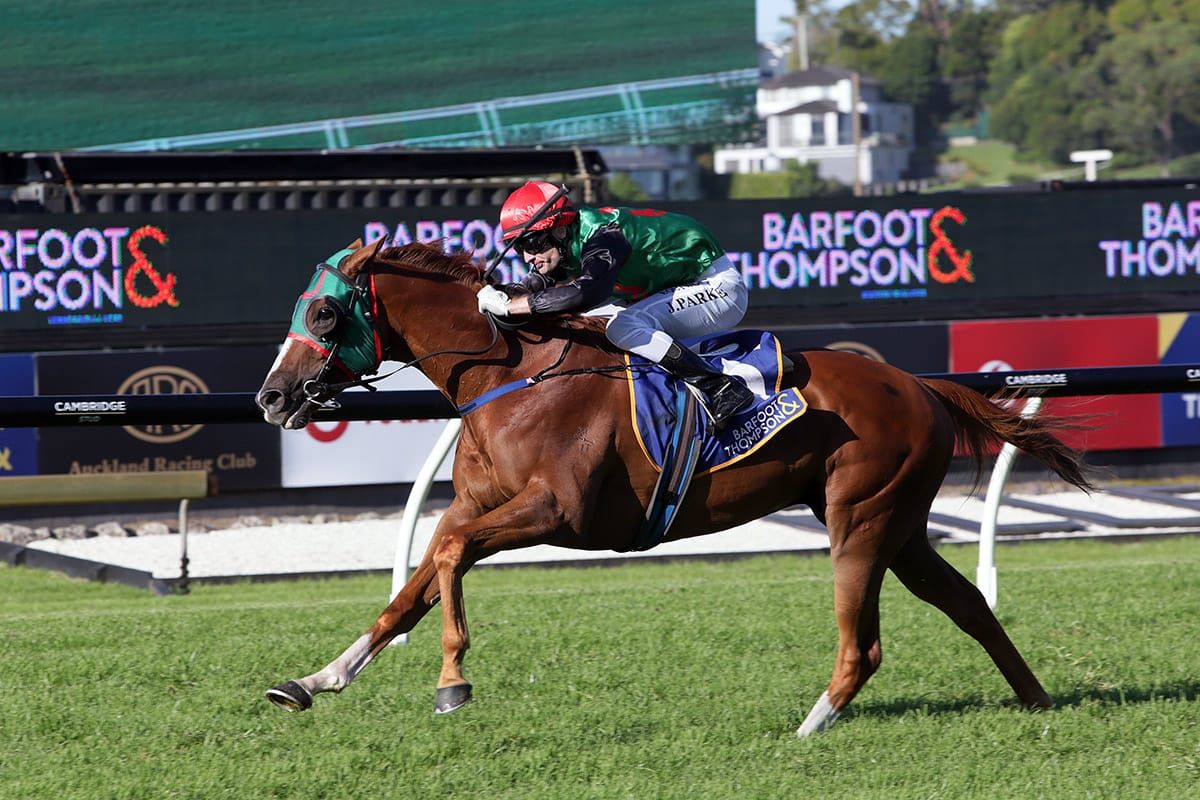 Auckland Cup winner ready to commence spring preparation