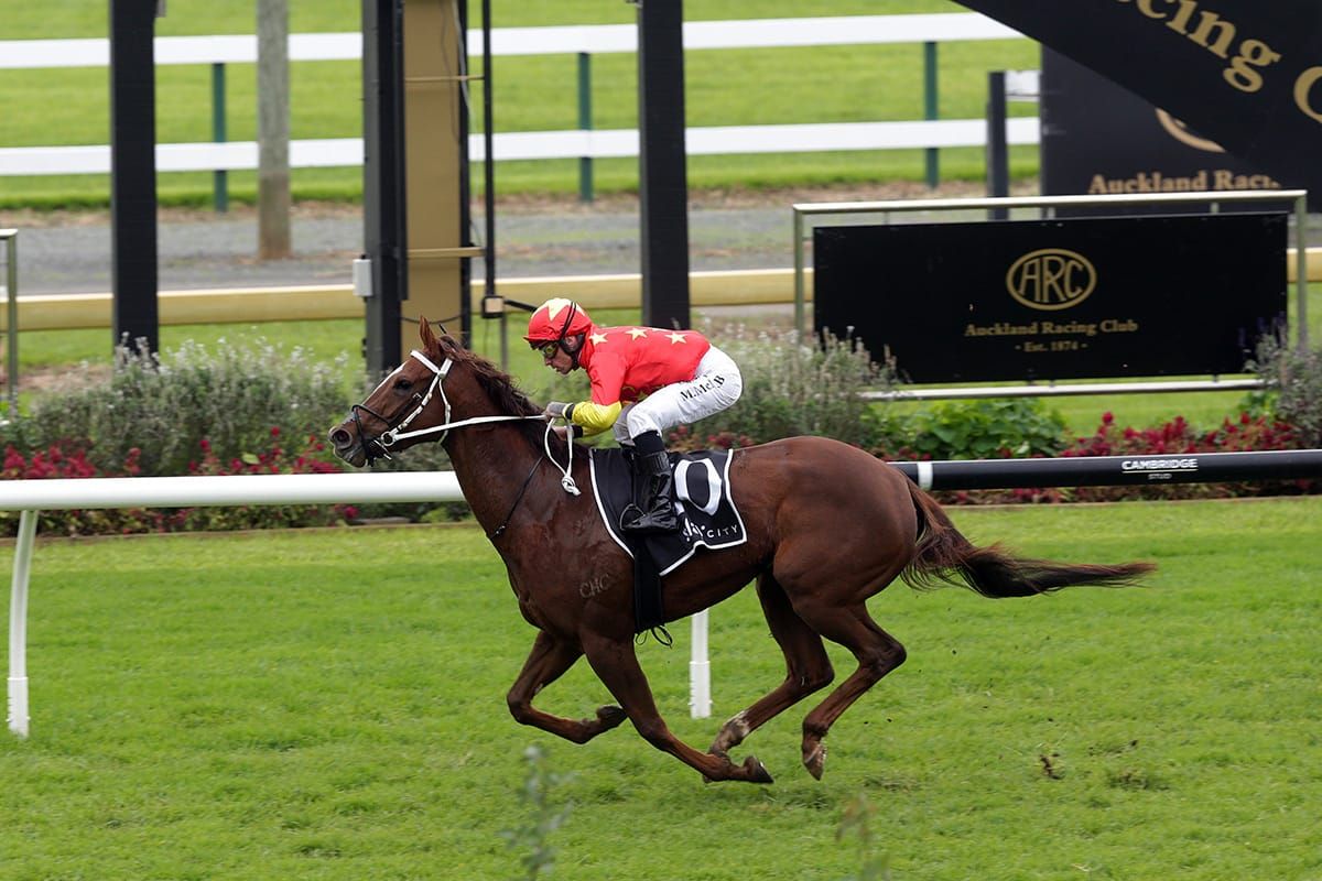 Marsh filly dominates strong Ellerslie line-up