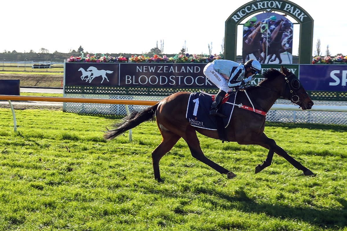 Plan comes together for McKay two-year-old