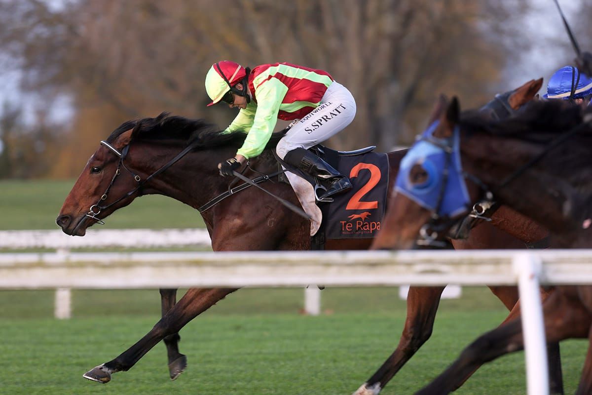 Peecee Pussycat adding another chapter to incredible story