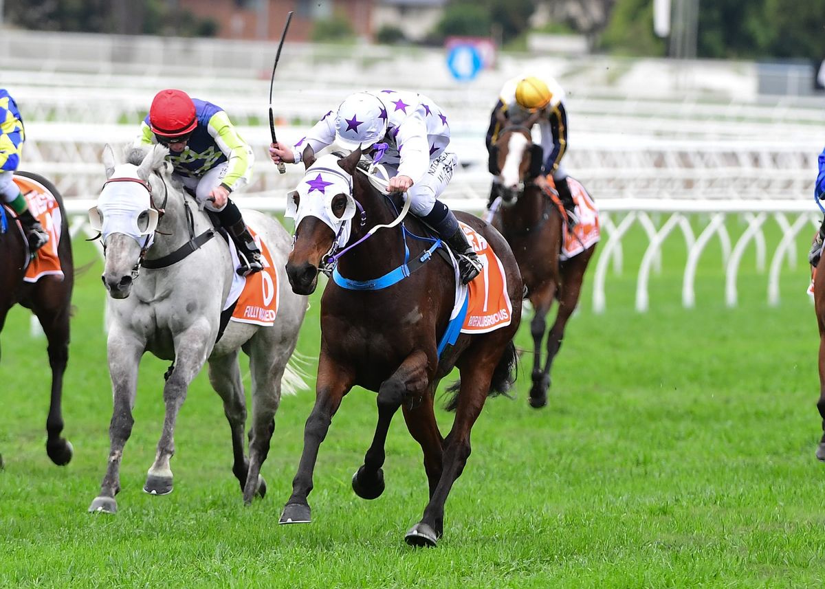 Bush triumph for Rather Salubrious