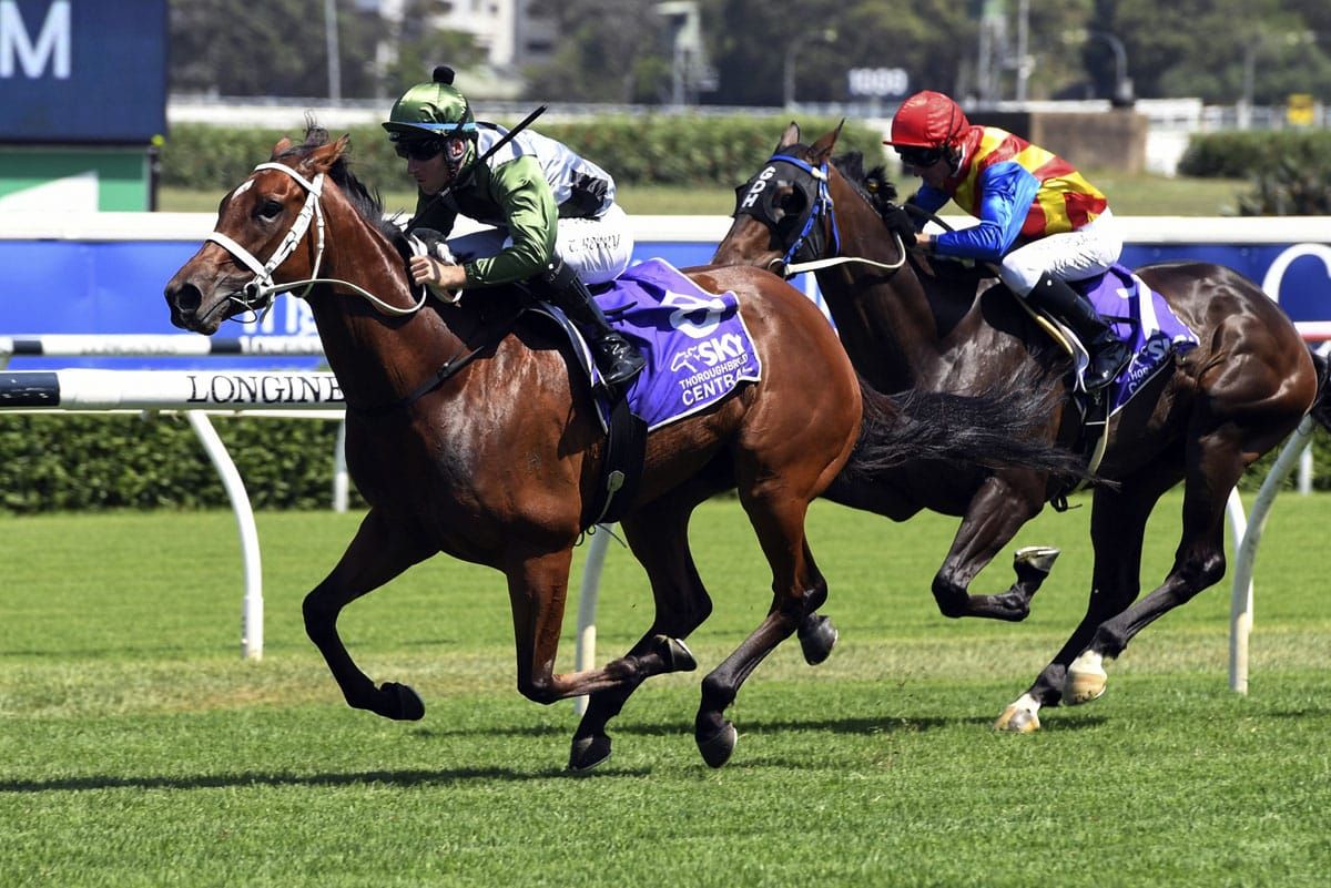 Subpoenaed rounds out Stradbroke preparations