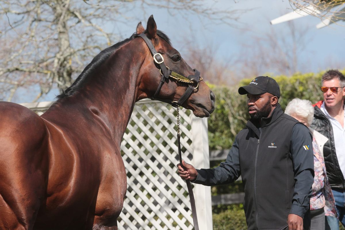 Serena set to serve it up to rivals