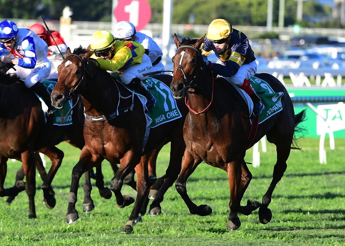 Tofane outclasses rivals to claim Stradbroke