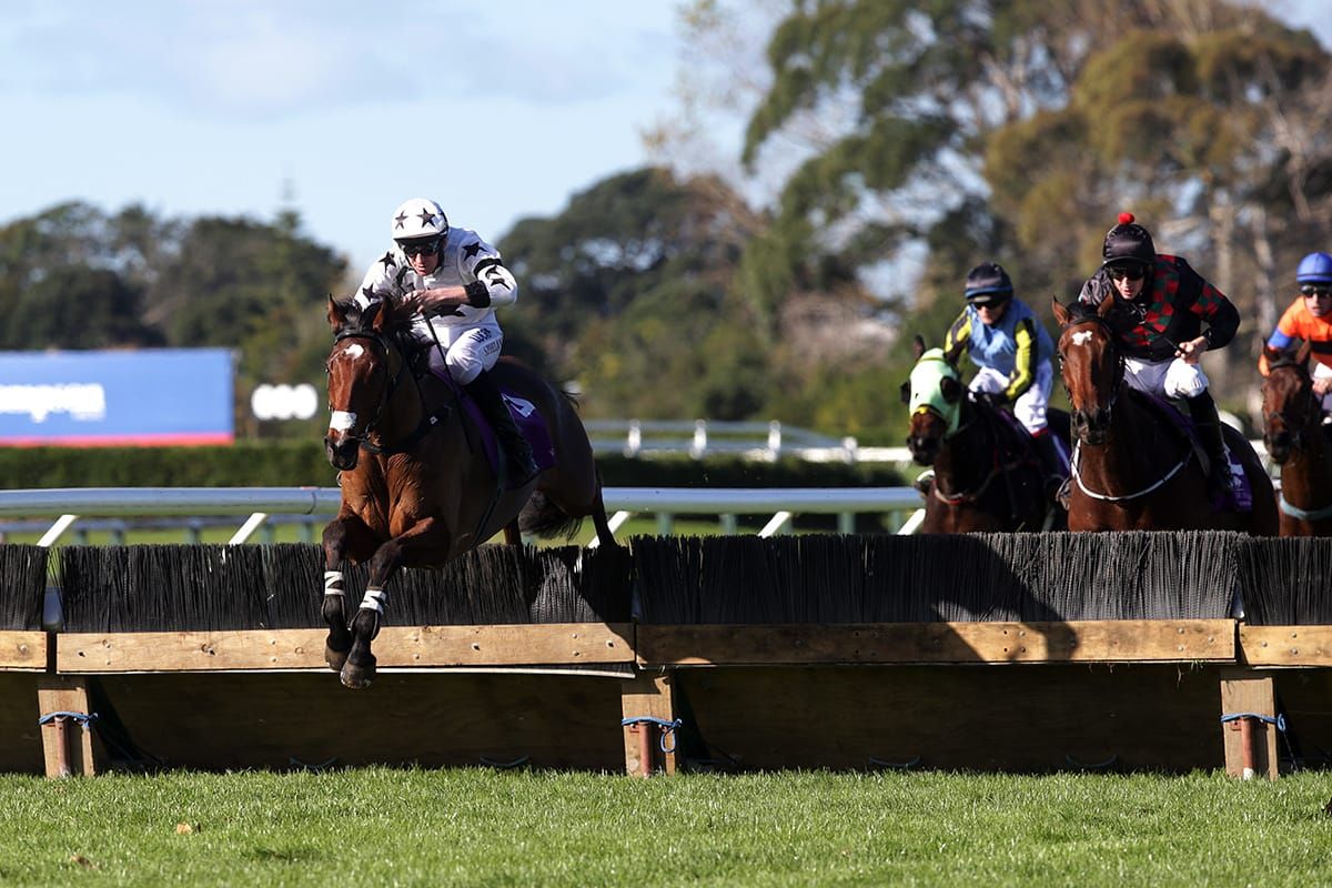 Tommyra ready for bold effort in Ellerslie feature