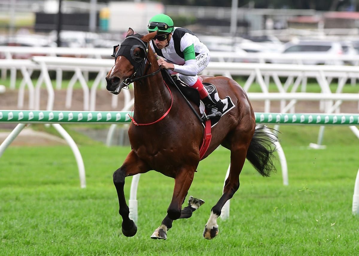 Tutukaka Derby bound