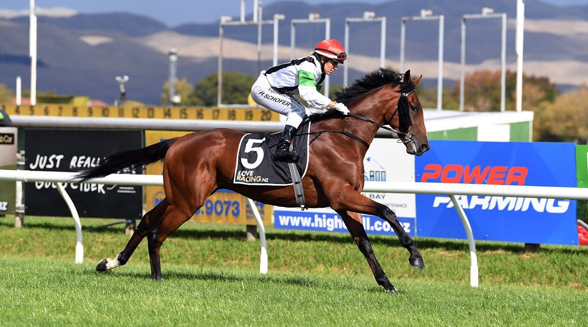 Derby campaign commences for Tutukaka