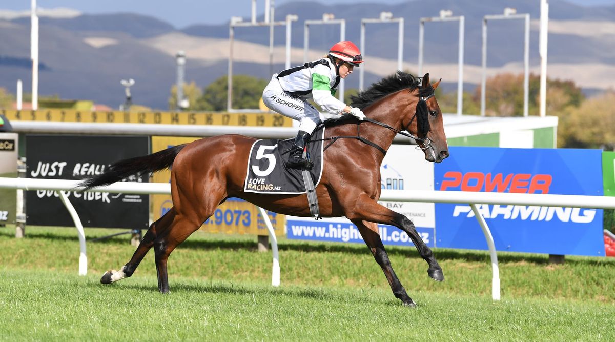 Tutukaka set to rise in The Phoenix