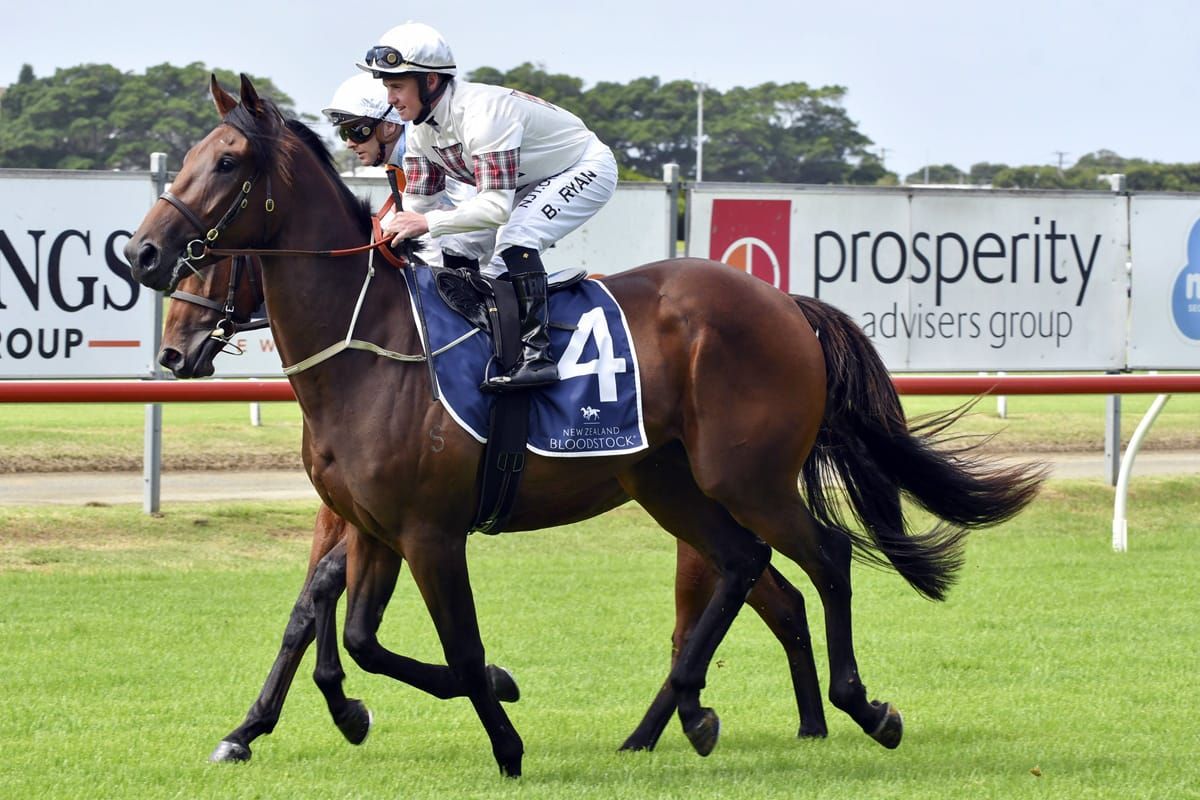 Verbek thriving ahead of The Phoenix