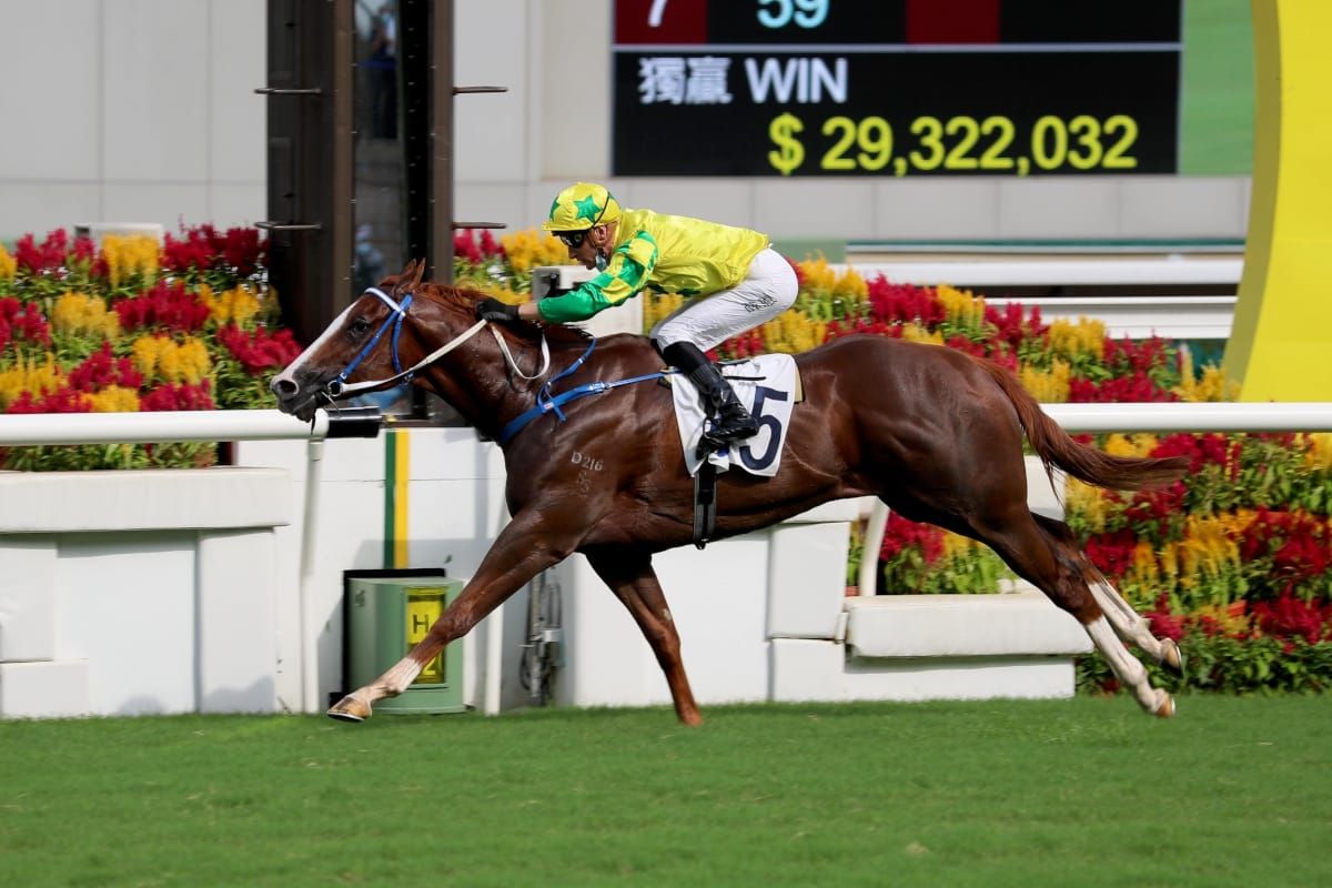 Sky Field adds icing to Caspar Fownes five-win celebration