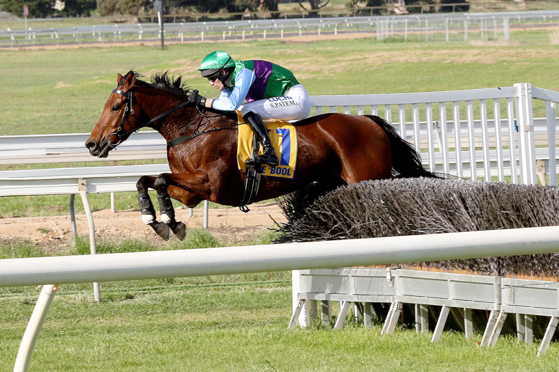 Zed Em returns to NZ