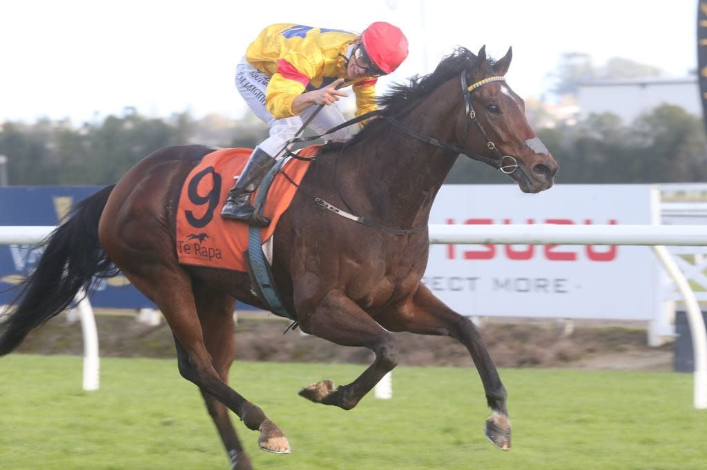 Aero De Paris provides welcome holiday boost for Scott