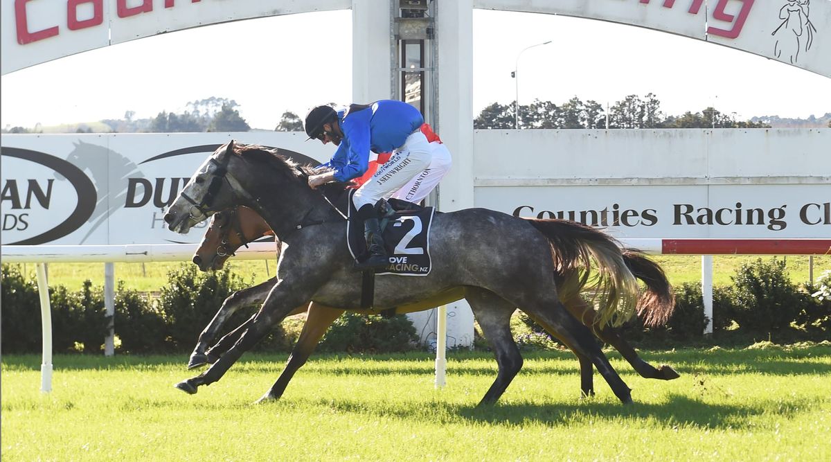 Patience paying dividends for Mirabelli