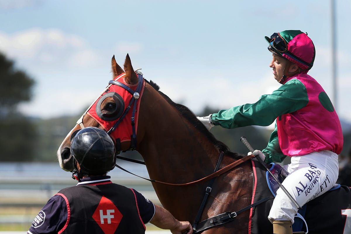 Gibbs in search of more home track success