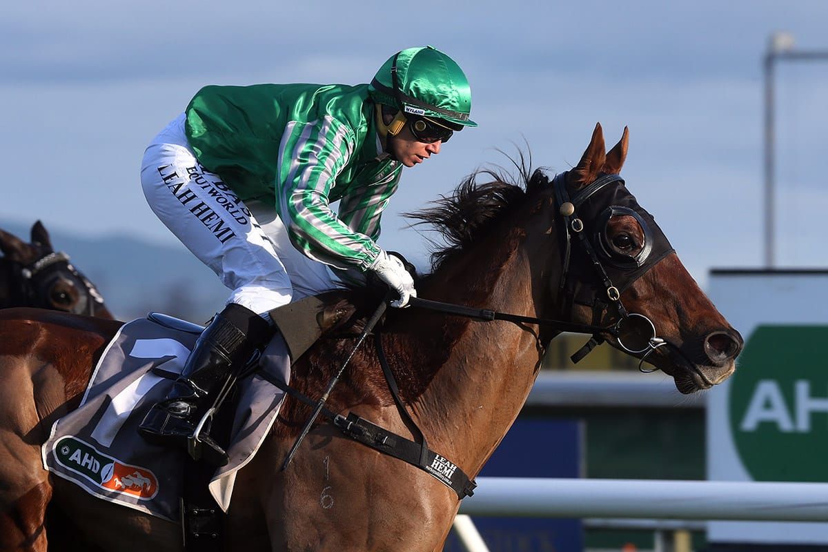 Innes prepared to play patient game with impressive Hastings winner