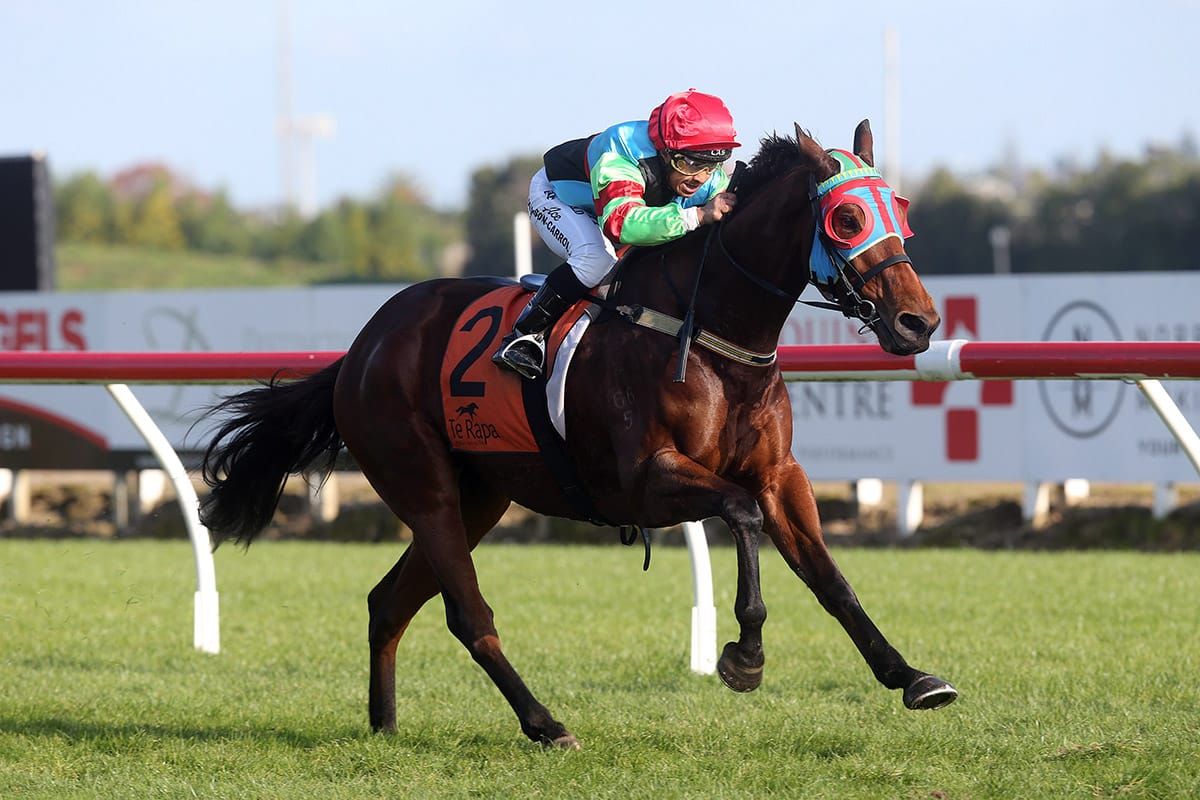 Apprentice comes up aces at Te Rapa