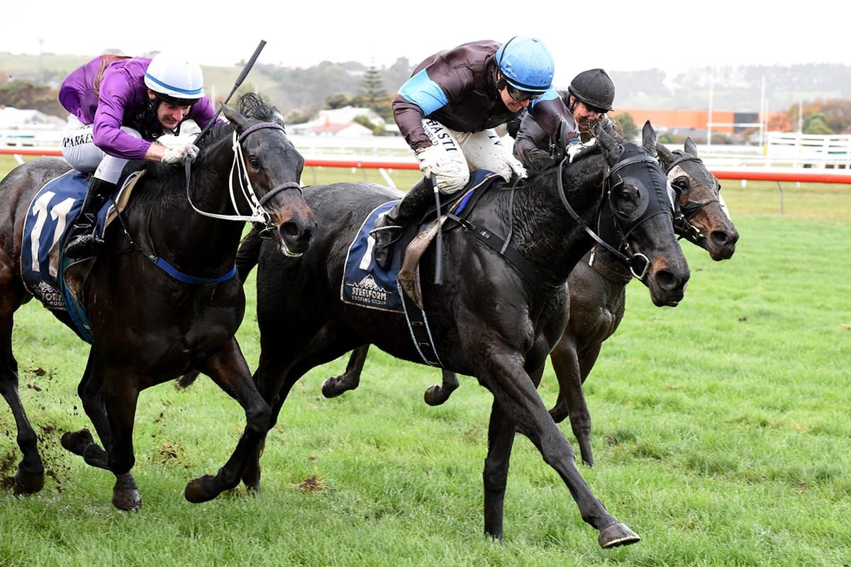 Trentham test for Dolcetto