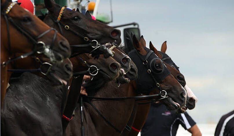 Bad weather forces Trentham abandonment