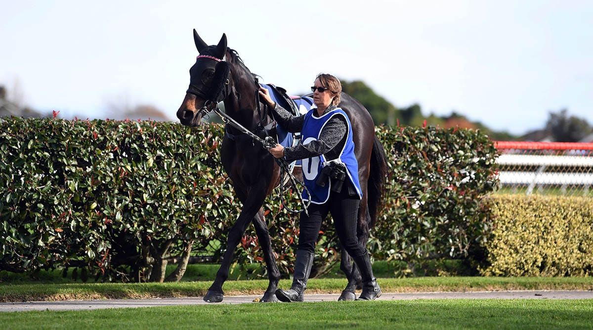 Ryder Stakes test for promising filly