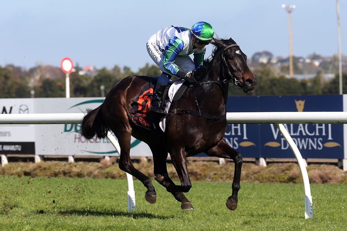 Royally bred filly makes belated debut a winning one