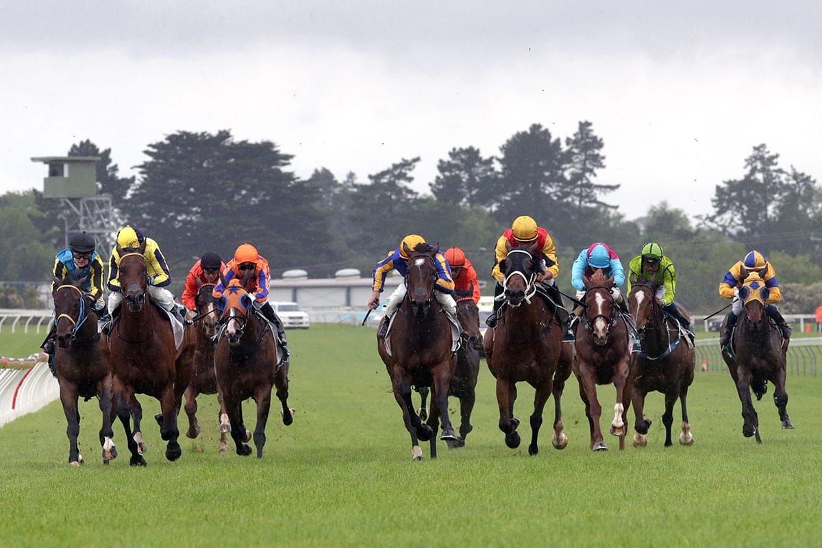 Welfare initiatives gain support