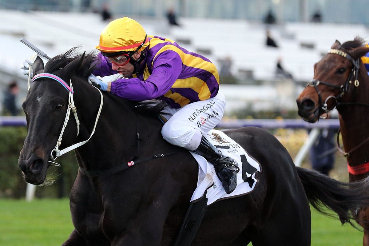 Mongolian Marshal scores knock-out blow in Winter Championship