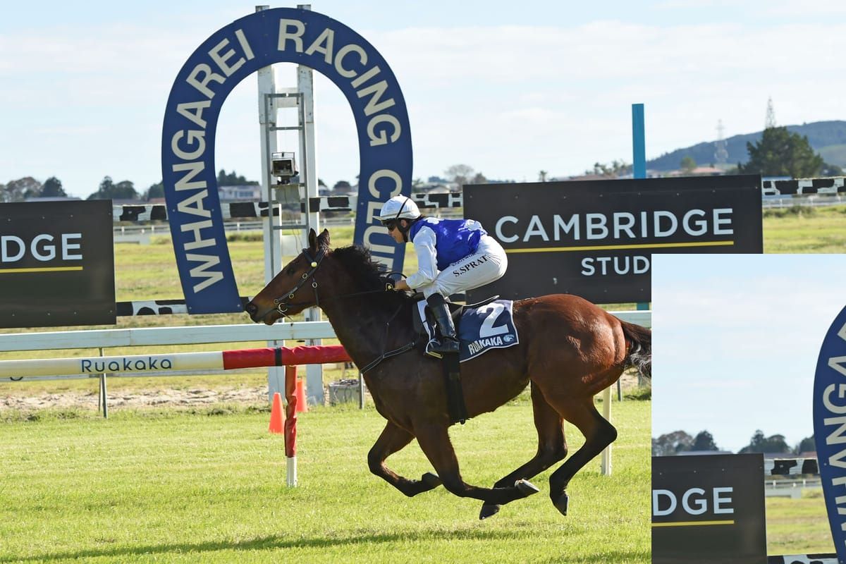 All About You impressive on debut