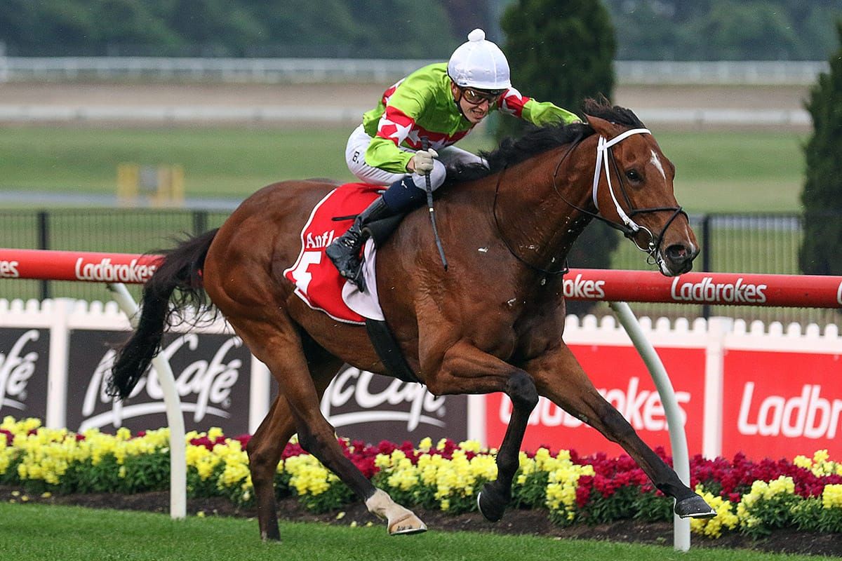 Group Three first-up for Sansom