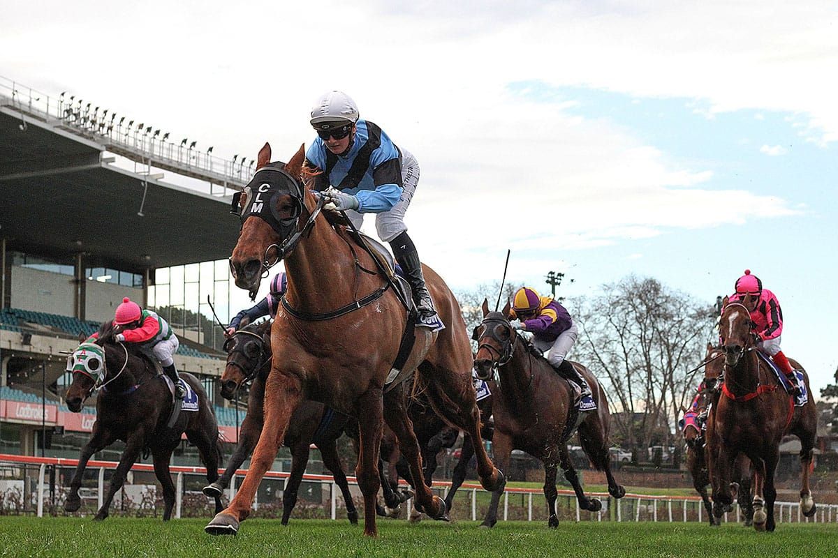 Distance no issue for Smokin’ Romans