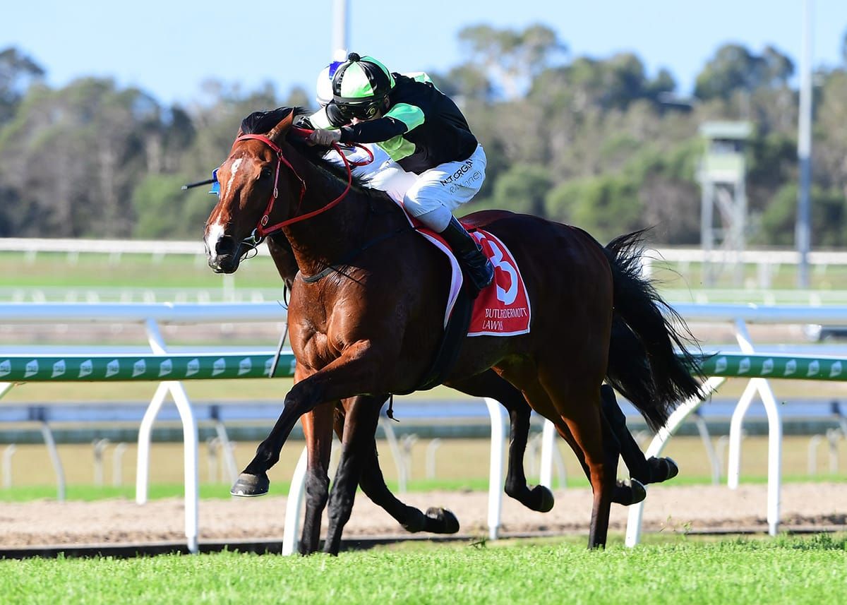 Tavistock’s Stockman adds to stakes haul