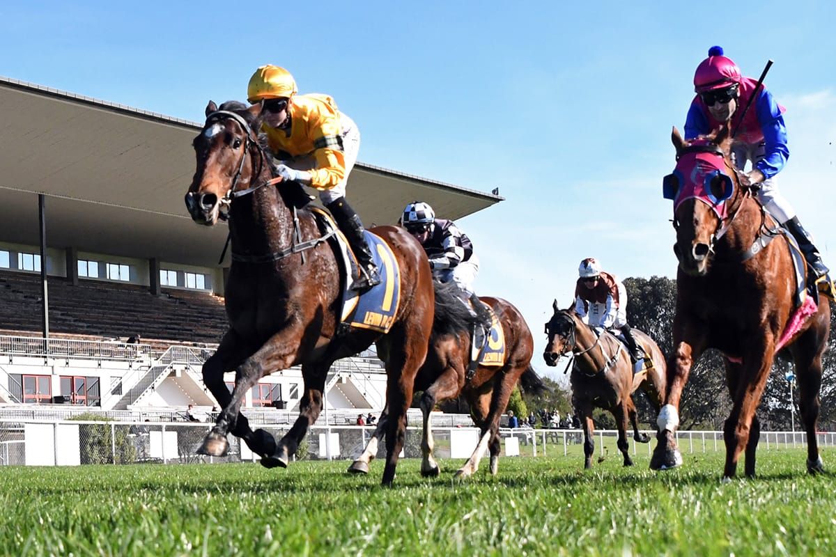 Tavi Mac kicks off new campaign with Otaki victory