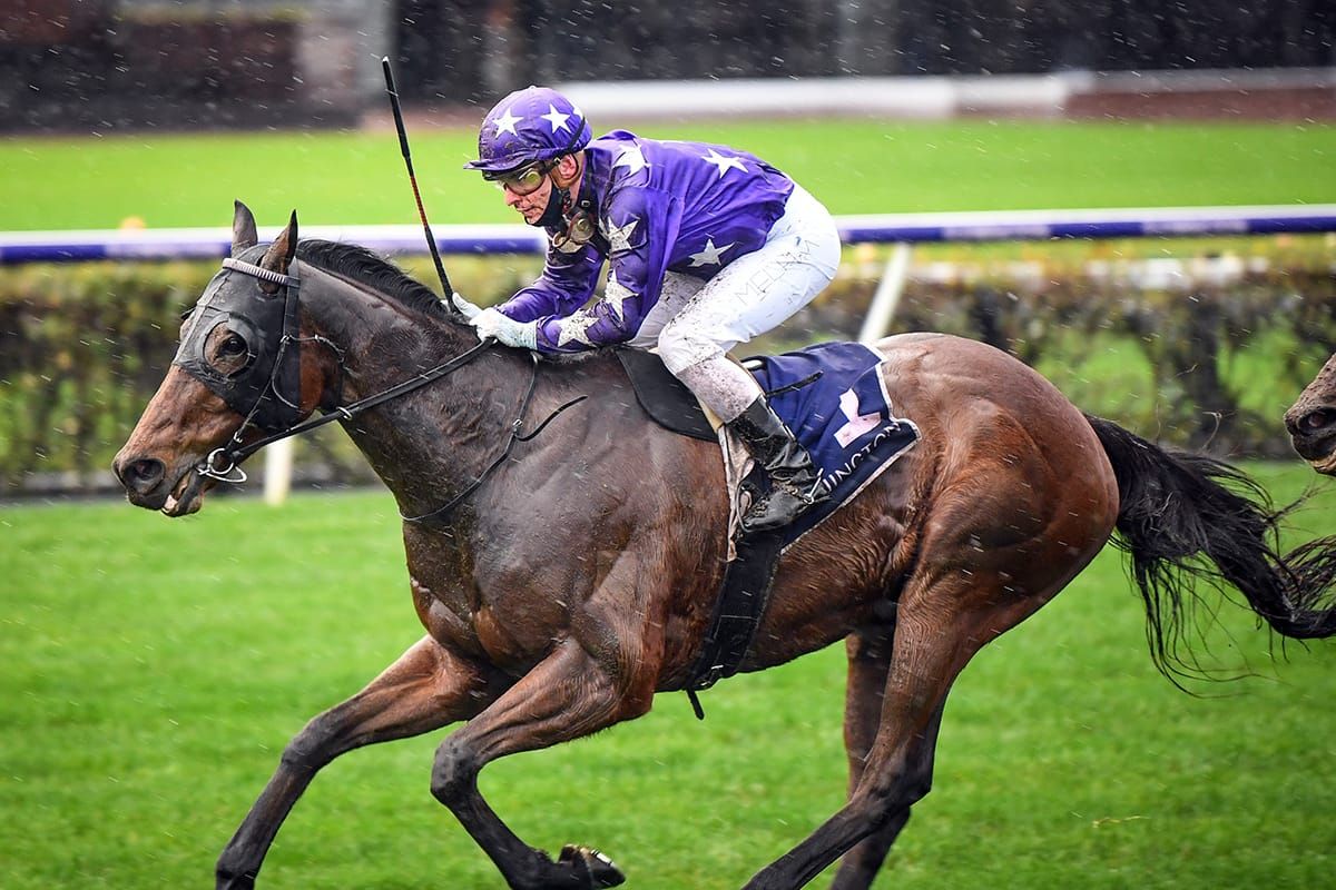 The Good Fight outstays rivals in Cup