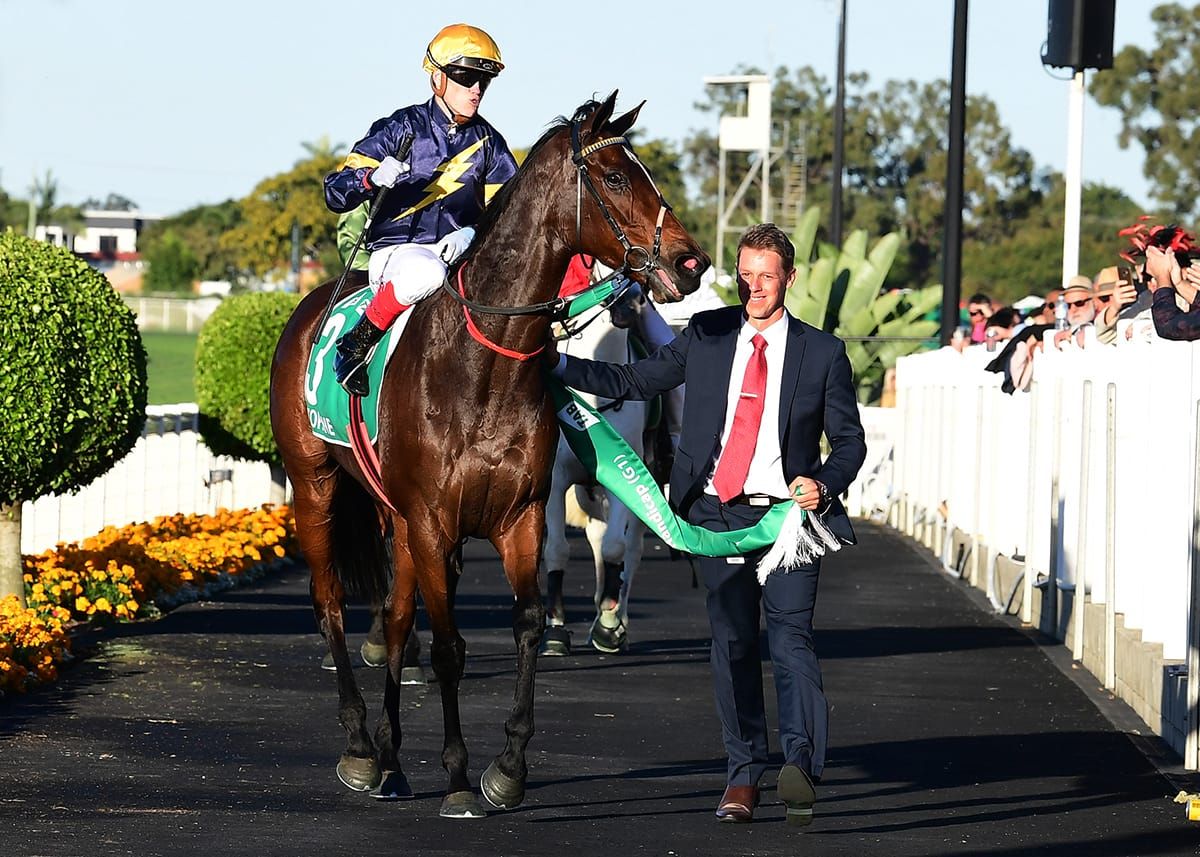 Quick turnaround for Memsie-bound Tofane