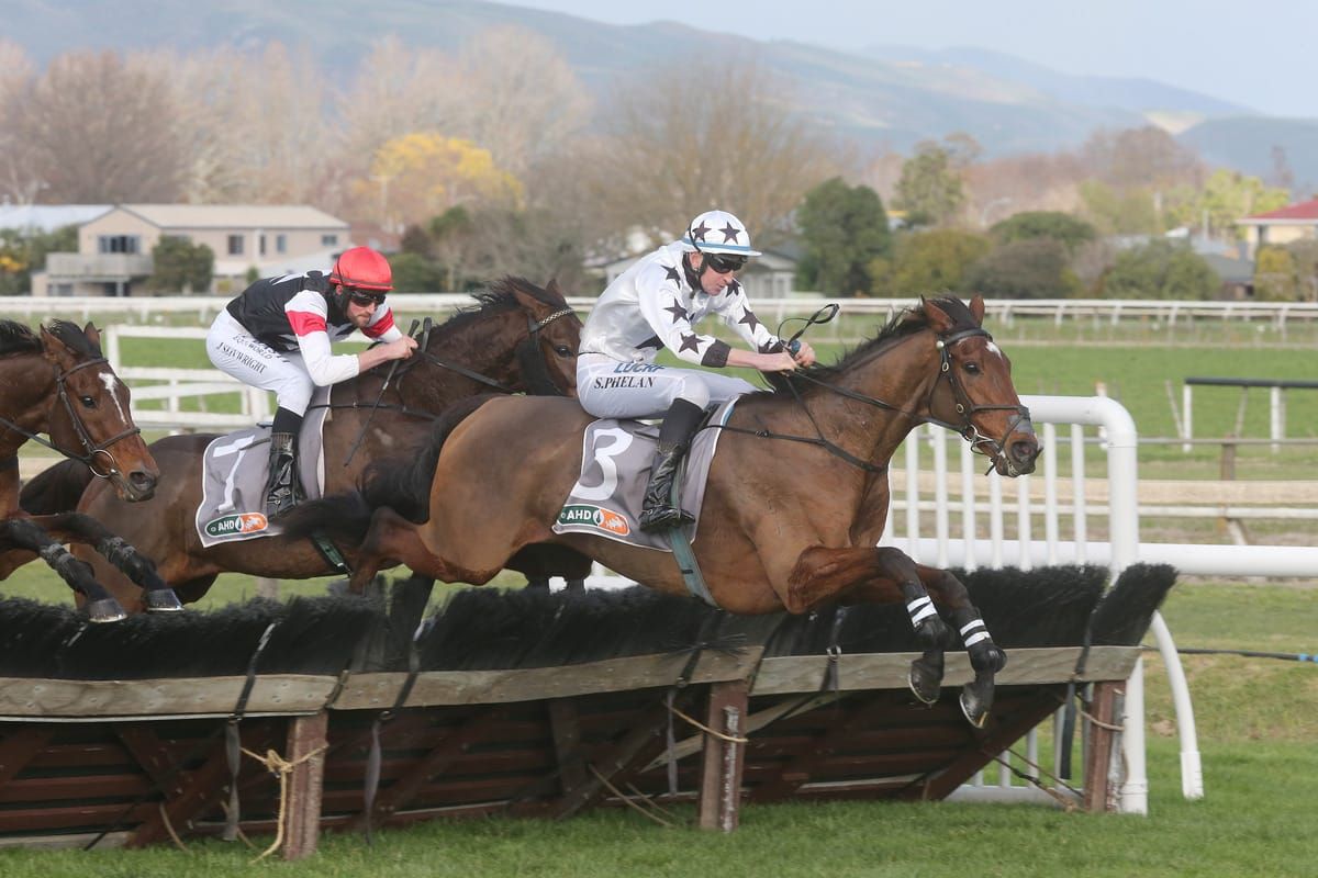 Tommyra back to his best in Hawke’s Bay Hurdle