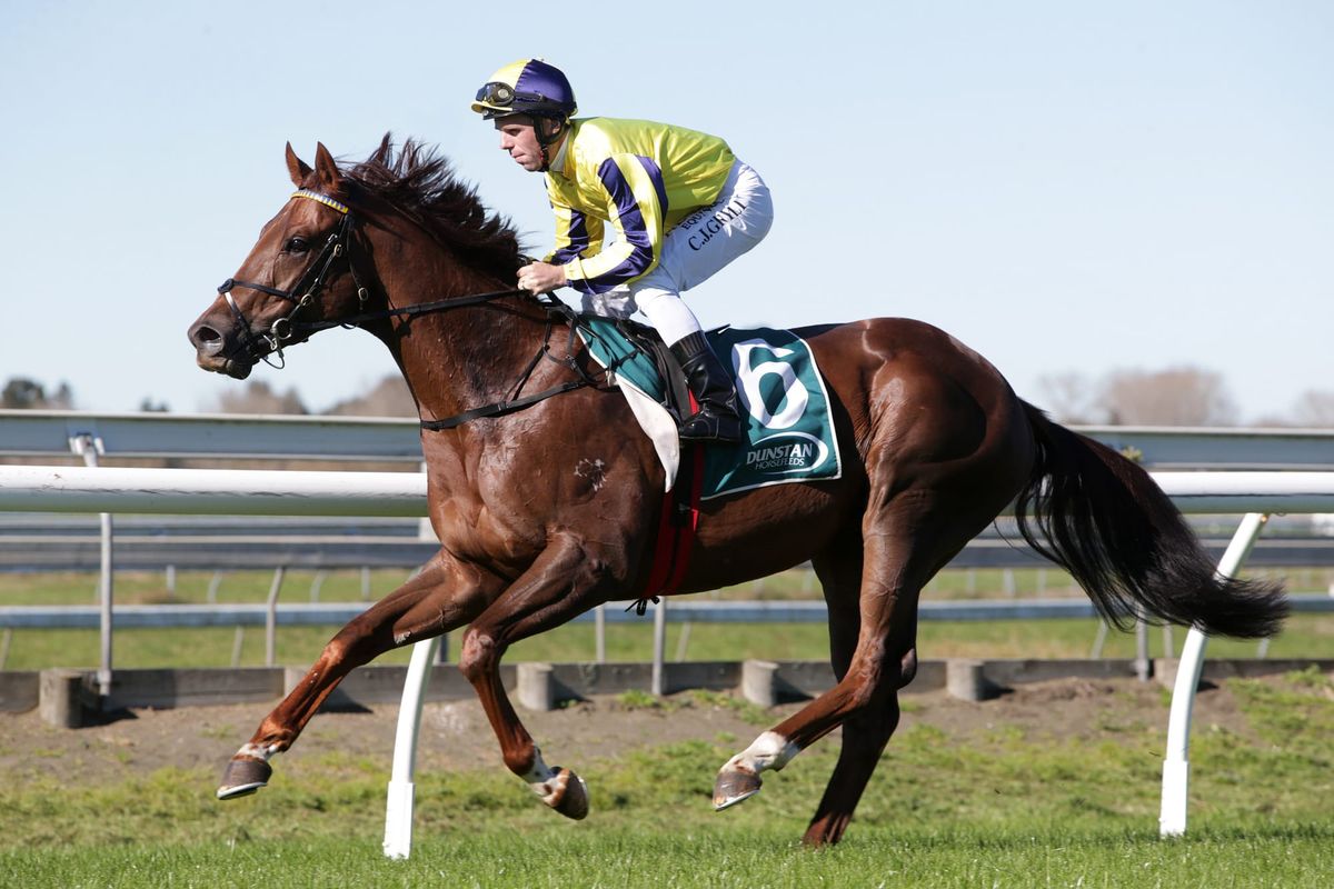 Youngster digging for Te Rapa treasure