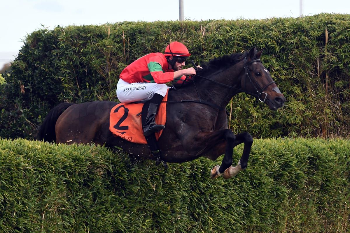 Nickalls chipper ahead of Wellington Steeplechase