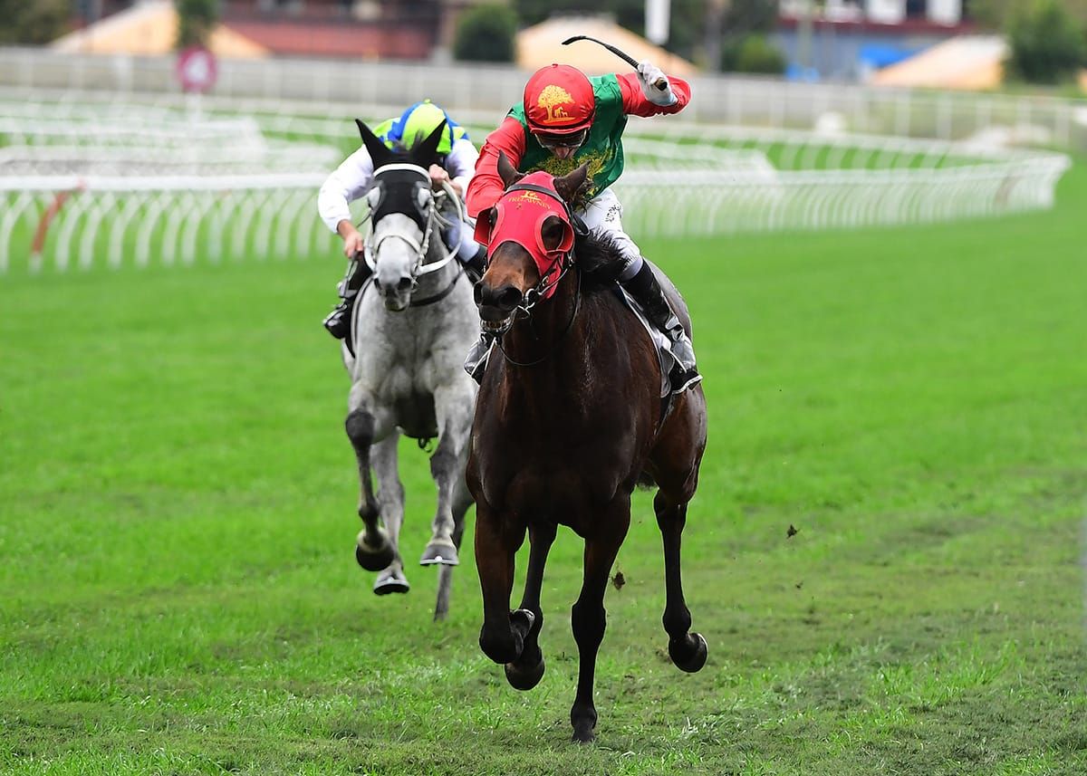 New partnership looking forward to spring