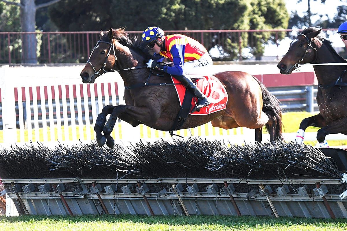 Maher's jumping star sidelined