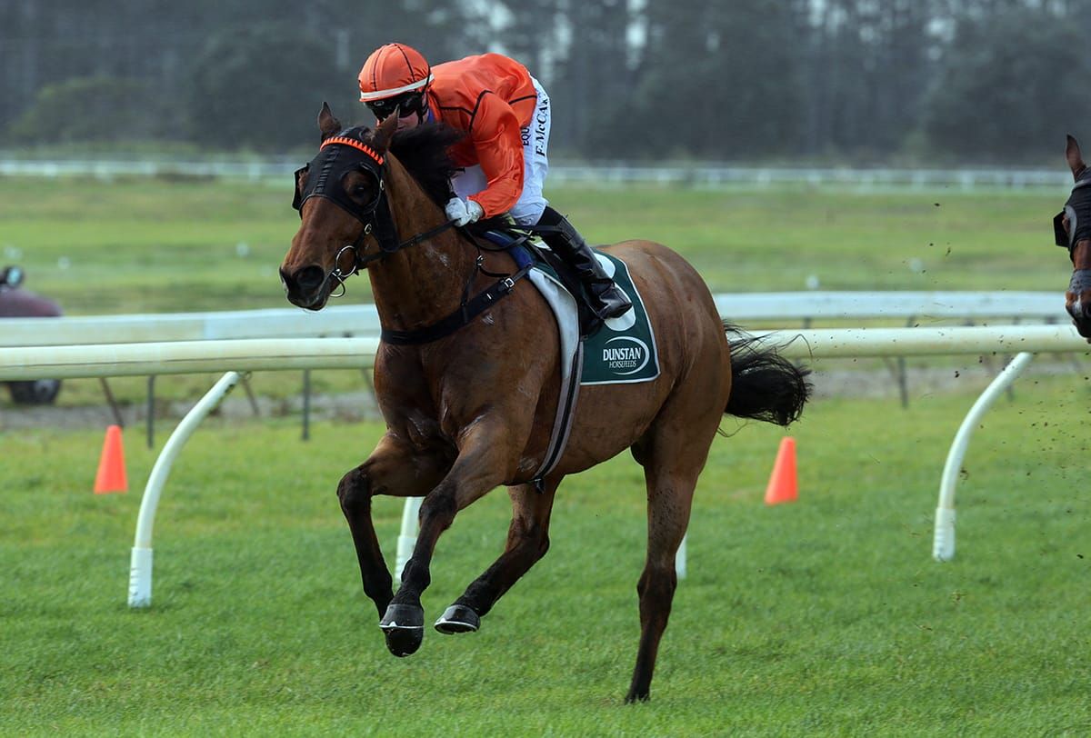 Acutus continues winning run at Ruakaka