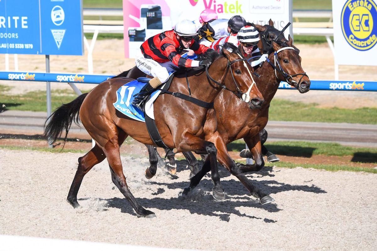 Turn Me Loose filly impresses at Ballarat