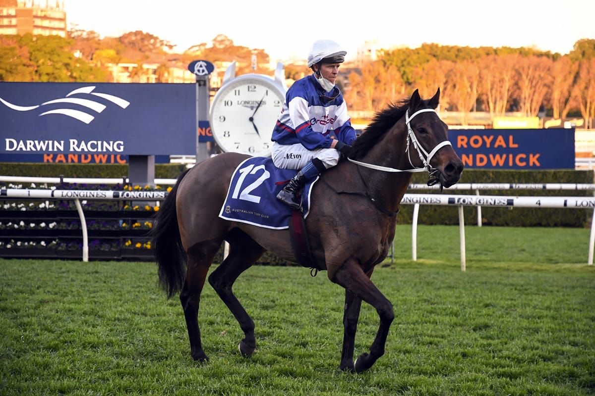 Bosma excited about Australian spring prospects